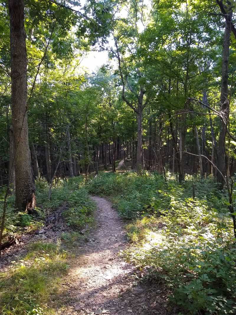 LaBarque Hills Trail, The Quieter Half Of The Park LaBarque Hills Trail, The Quieter Half Of The Park
