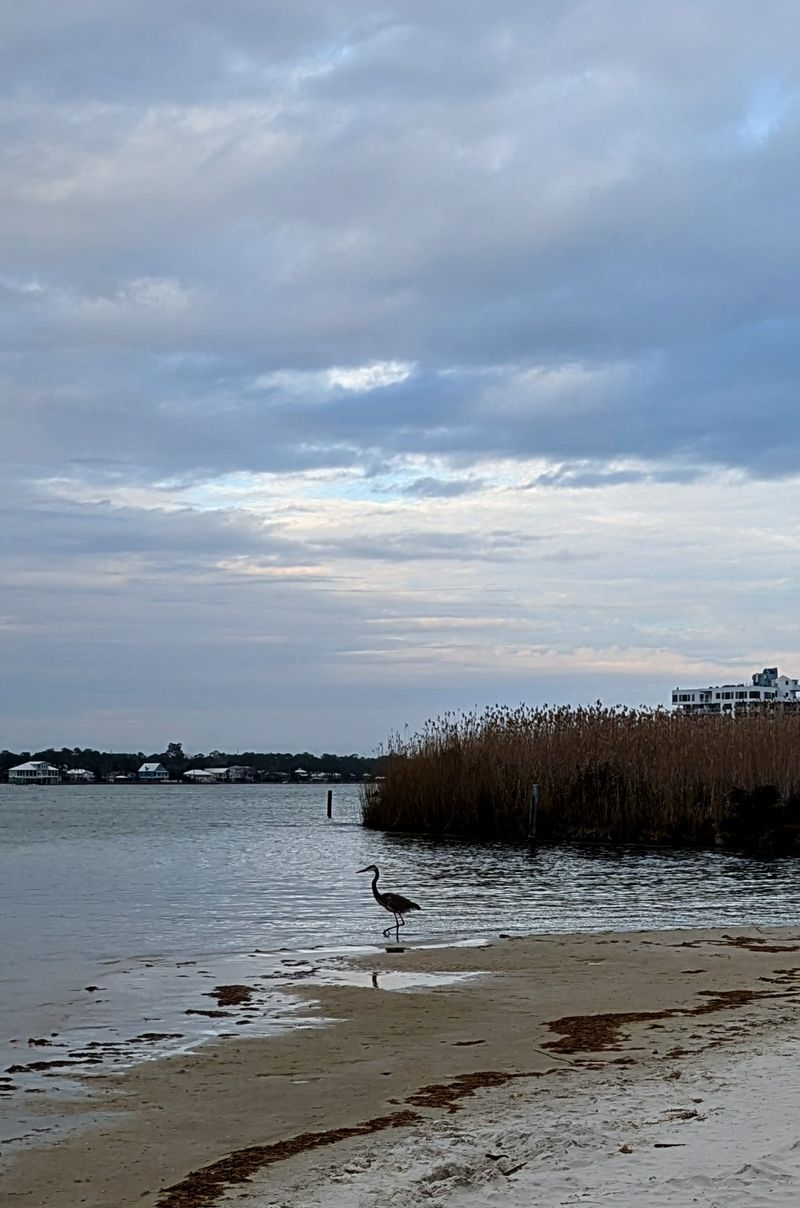 Lagoon Pass Park, Where Two Waters Trade Places Lagoon Pass Park, Where Two Waters Trade Places