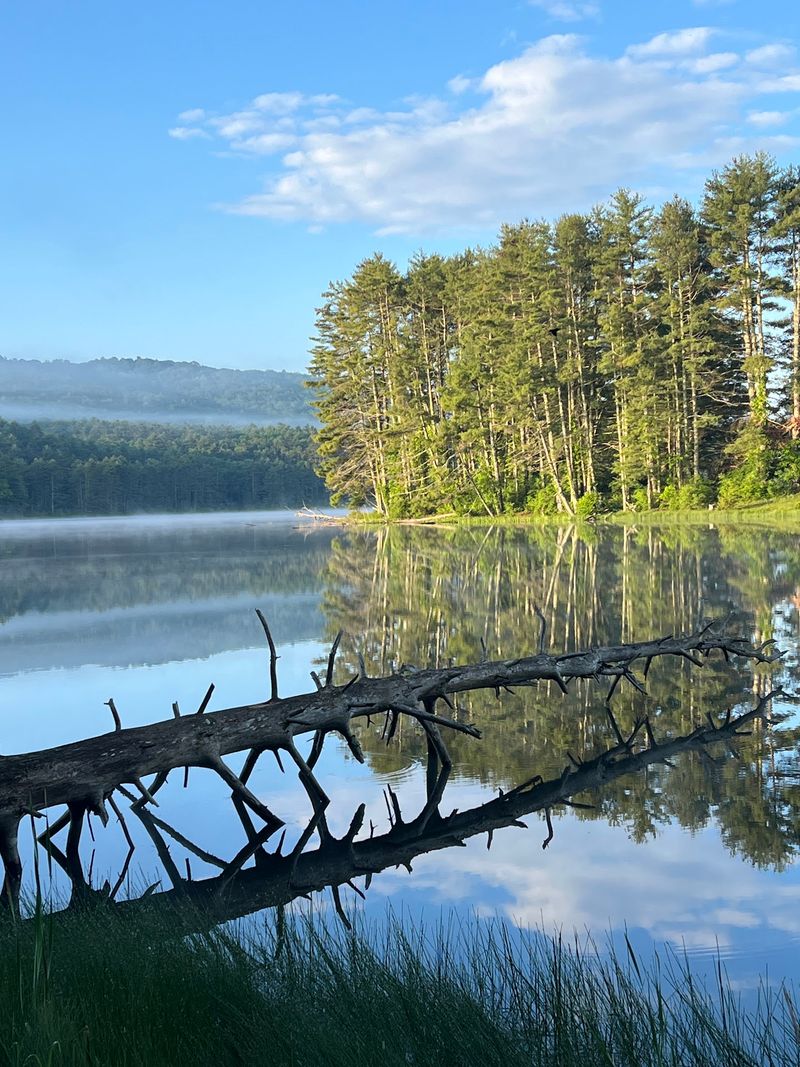 Lake Sherwood Recreation Area