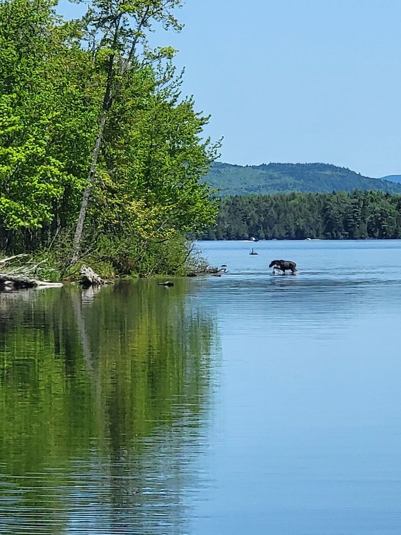 Lake Umbagog National Wildlife Refuge