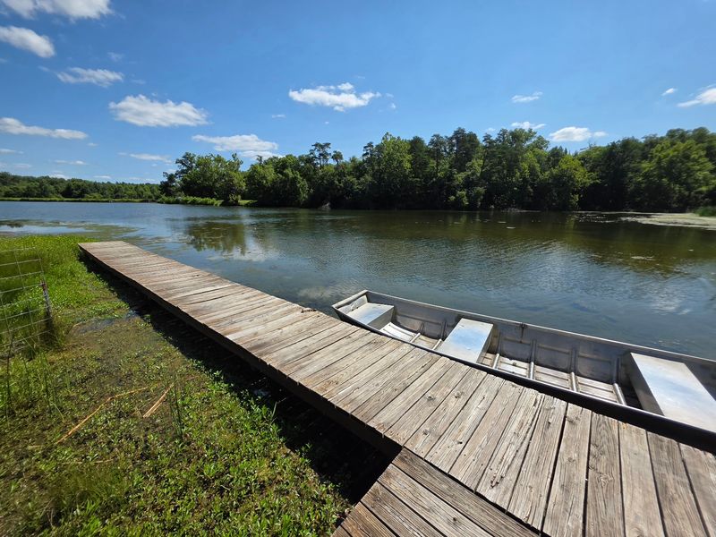 Lakeside Cabins With Their Own Docks