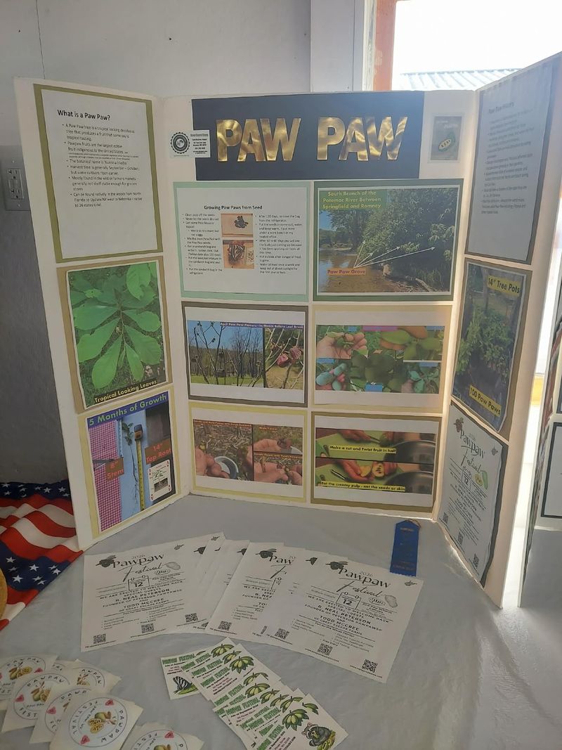 Learning From Growers And Pawpaw Experts