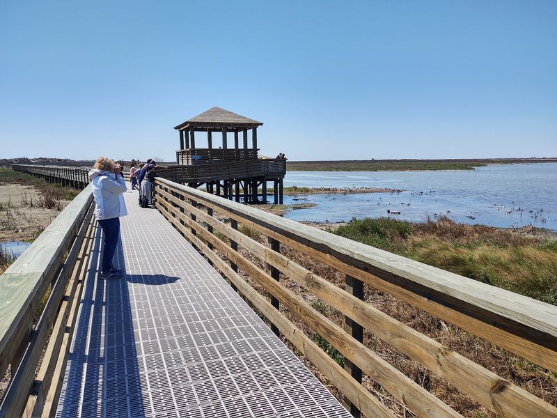 Leonabelle Turnbull Birding Center Boardwalk Leonabelle Turnbull Birding Center Boardwalk