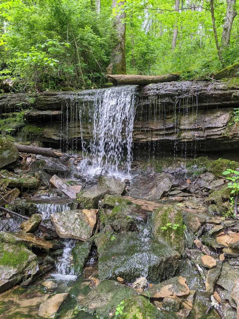 Leonard Springs Nature Park, Karst Country Near Bloomington