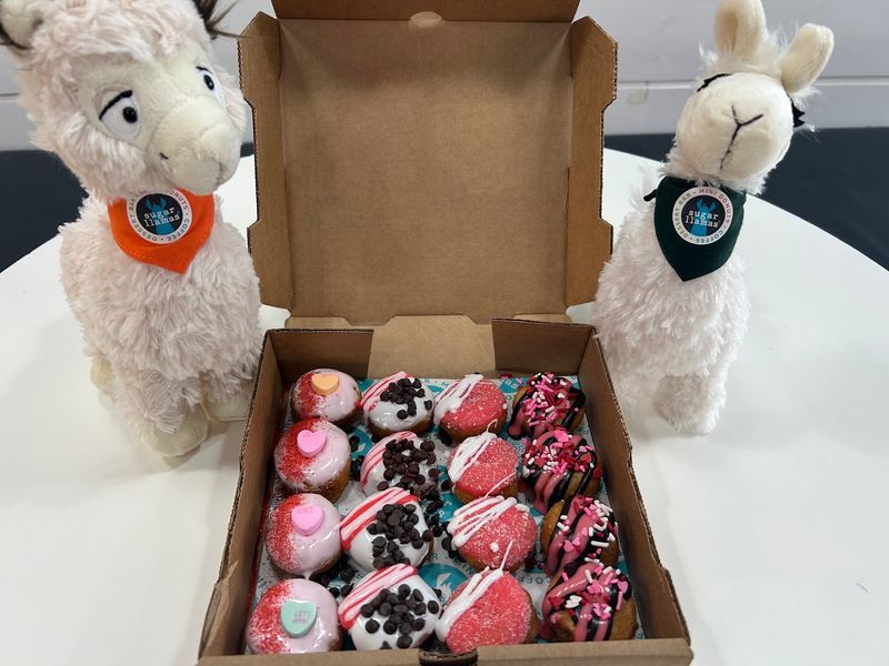 Let The Llama Legends Decide For You
