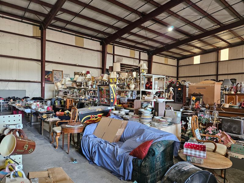 Lil’ Mike’s Thrift & Vintage Store Lil’ Mike’s Thrift & Vintage Store