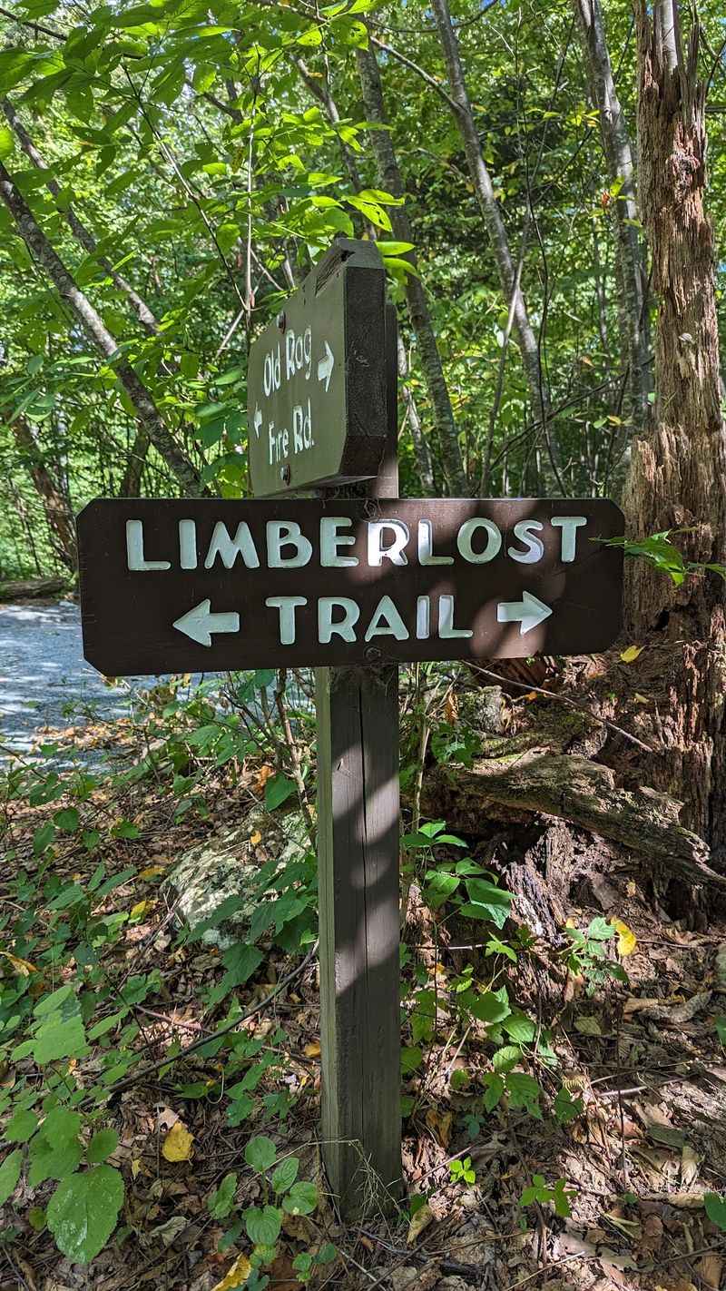 Limberlost Trail, Shenandoah National Park
