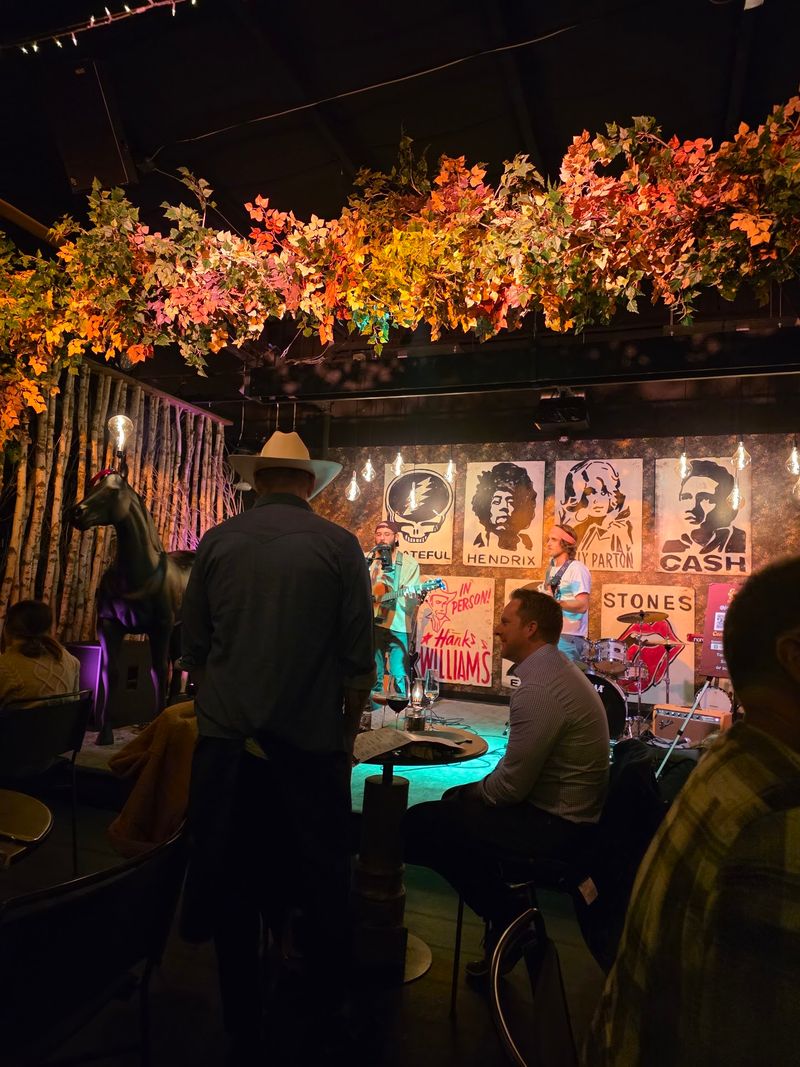 Live Music Nights and the Lively Energy They Bring