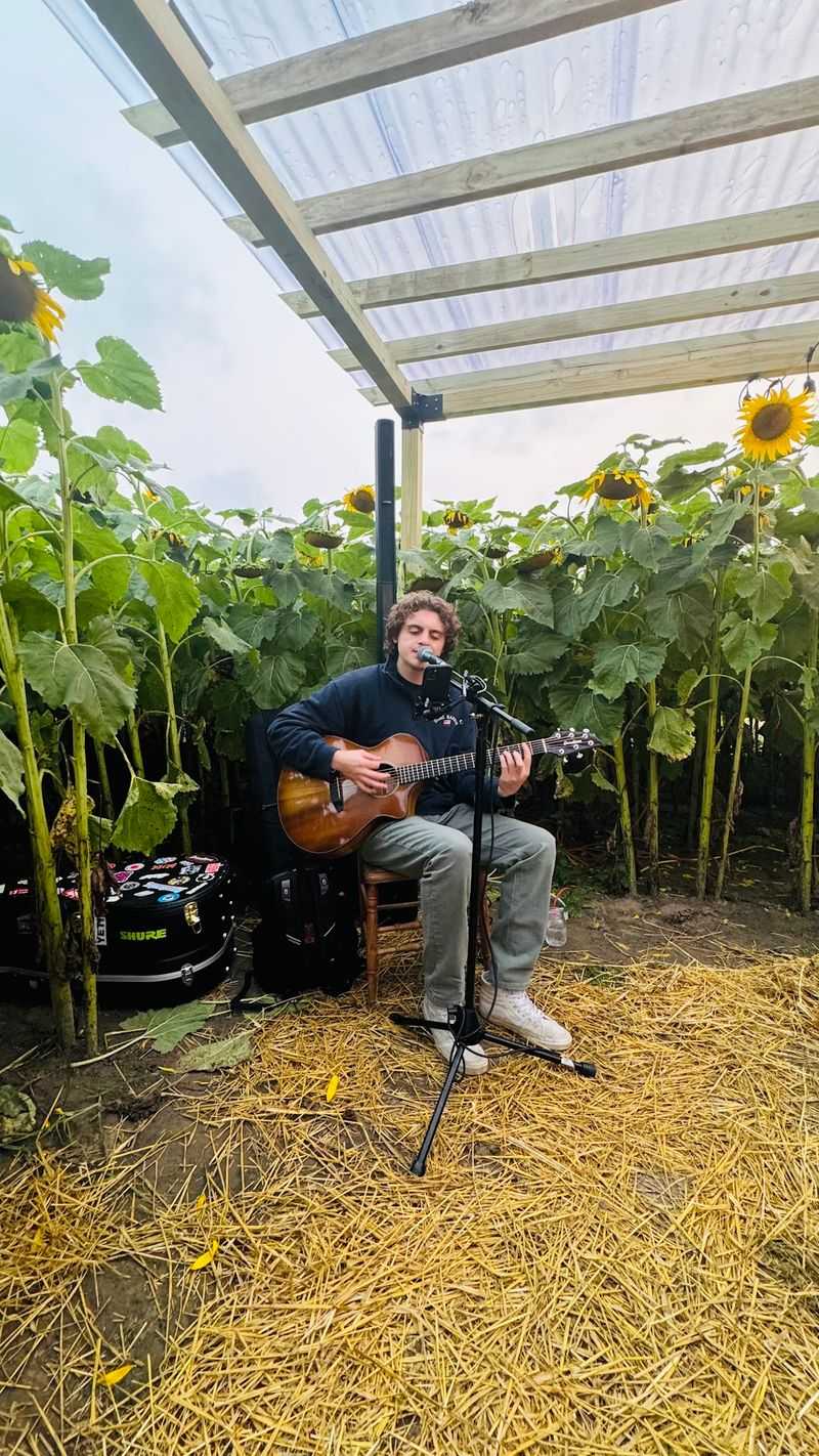 Live Music That Makes the Flowers Dance Live Music That Makes the Flowers Dance