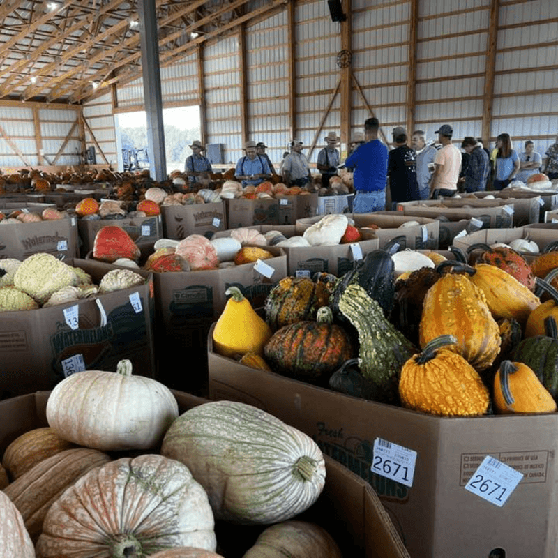 Load Up on Produce for Canning Season