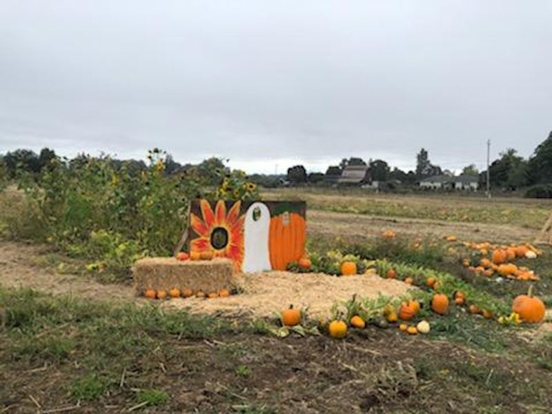 Lone Pine Farms, Junction City