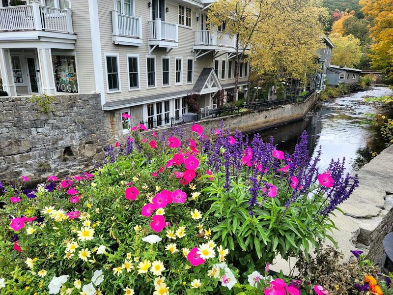 MacDowell and the Creative Energy You Can Actually Feel