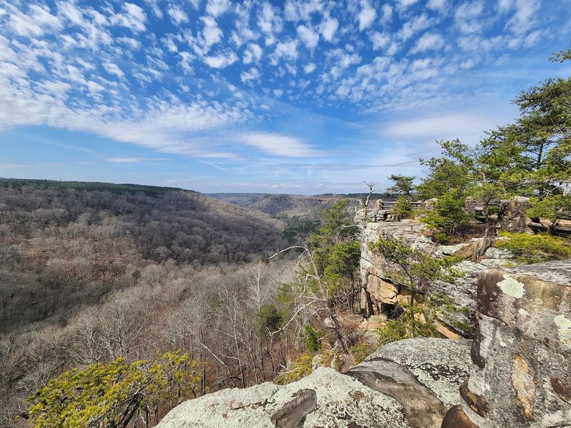 Majestic Vistas That Genuinely Stop You in Your Tracks Majestic Vistas That Genuinely Stop You in Your Tracks