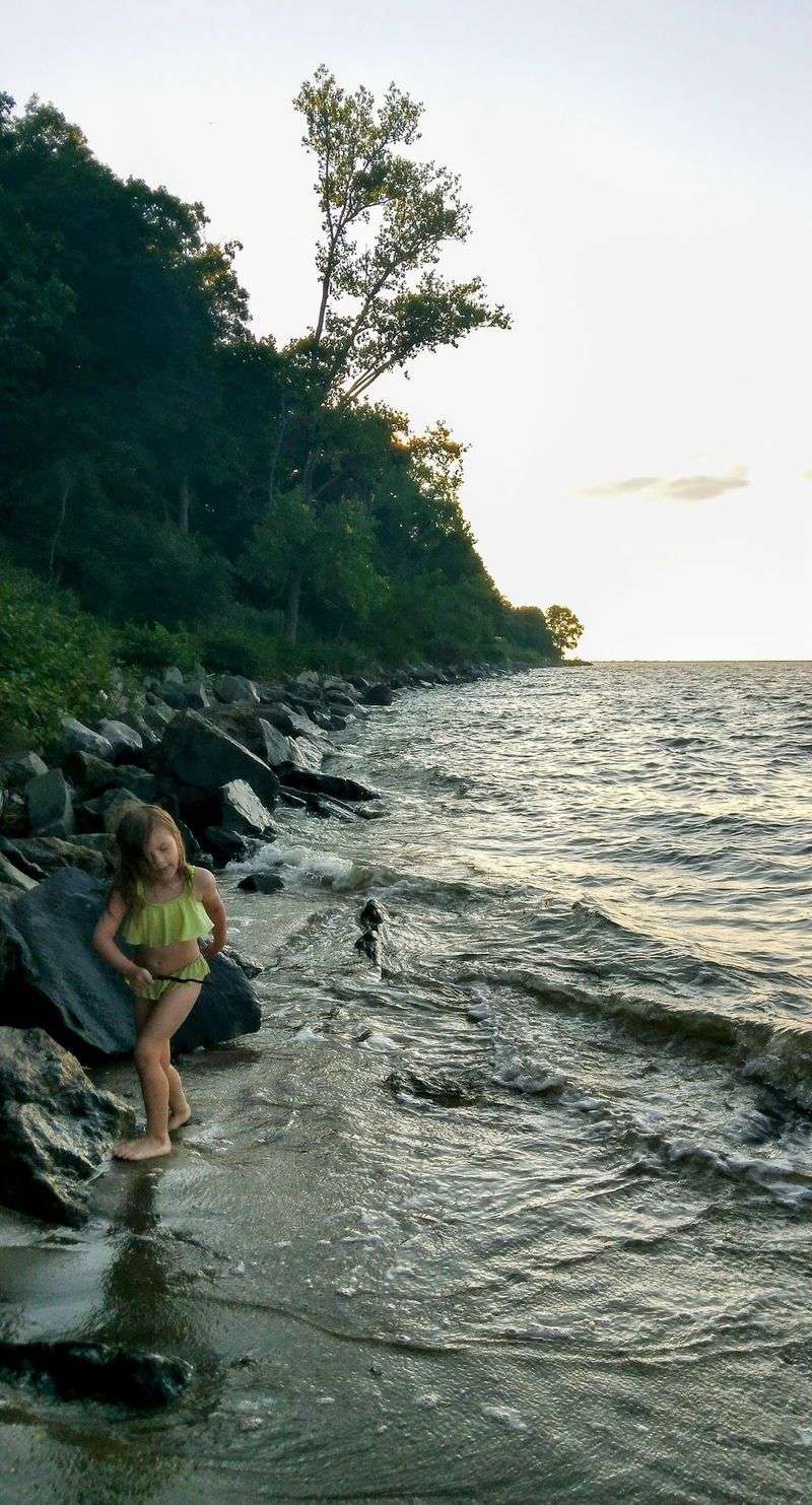 Marine Life and Bay Discoveries for Kids