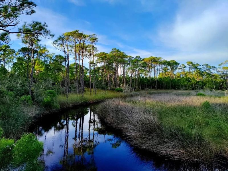 Marshes, Trails, and Birds Just Down the Road