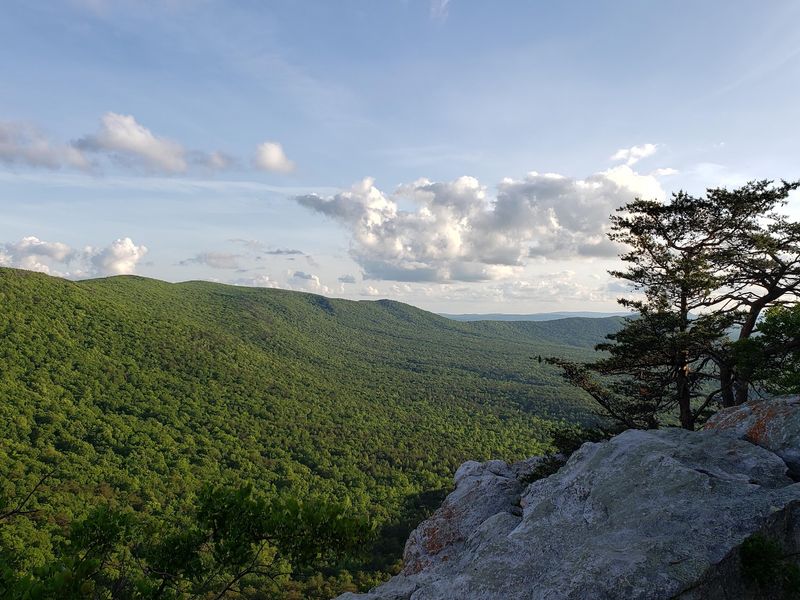 McDill Overlook Trail, Talladega National Forest McDill Overlook Trail, Talladega National Forest