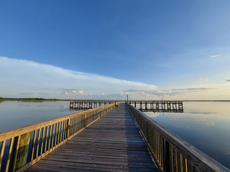 Meaher State Park Boardwalks Above The Delta Meaher State Park Boardwalks Above The Delta