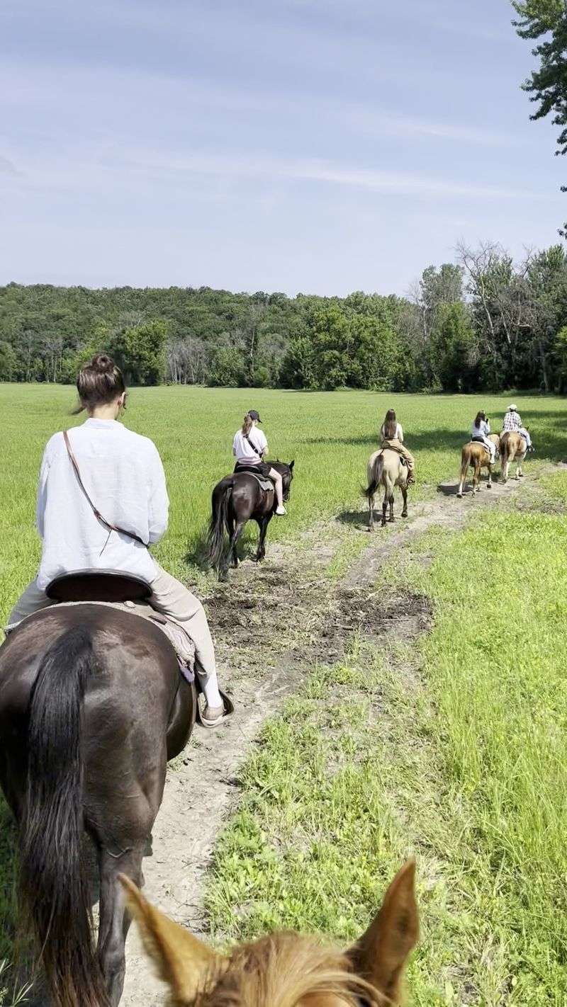 Meeting The Horse Chosen Just For You