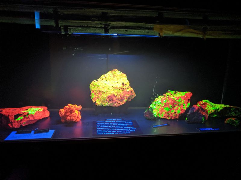 Meteorites and Mummies Under One Roof