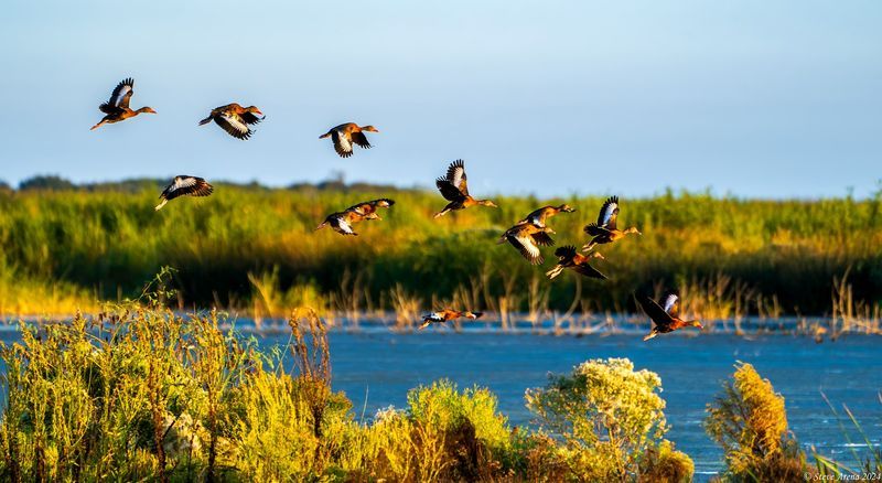 Migration changes the entire landscape