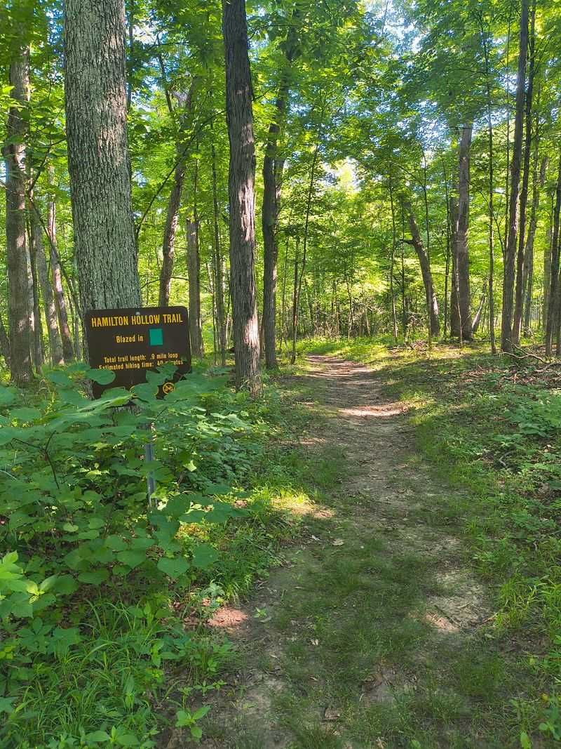 Miles And Miles Of Trail To Pick From