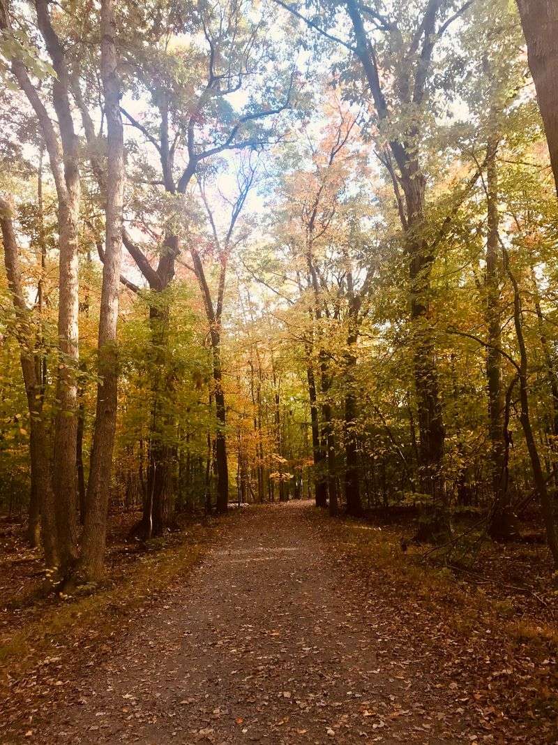 Mini Trails Perfect for a Meditative Walk