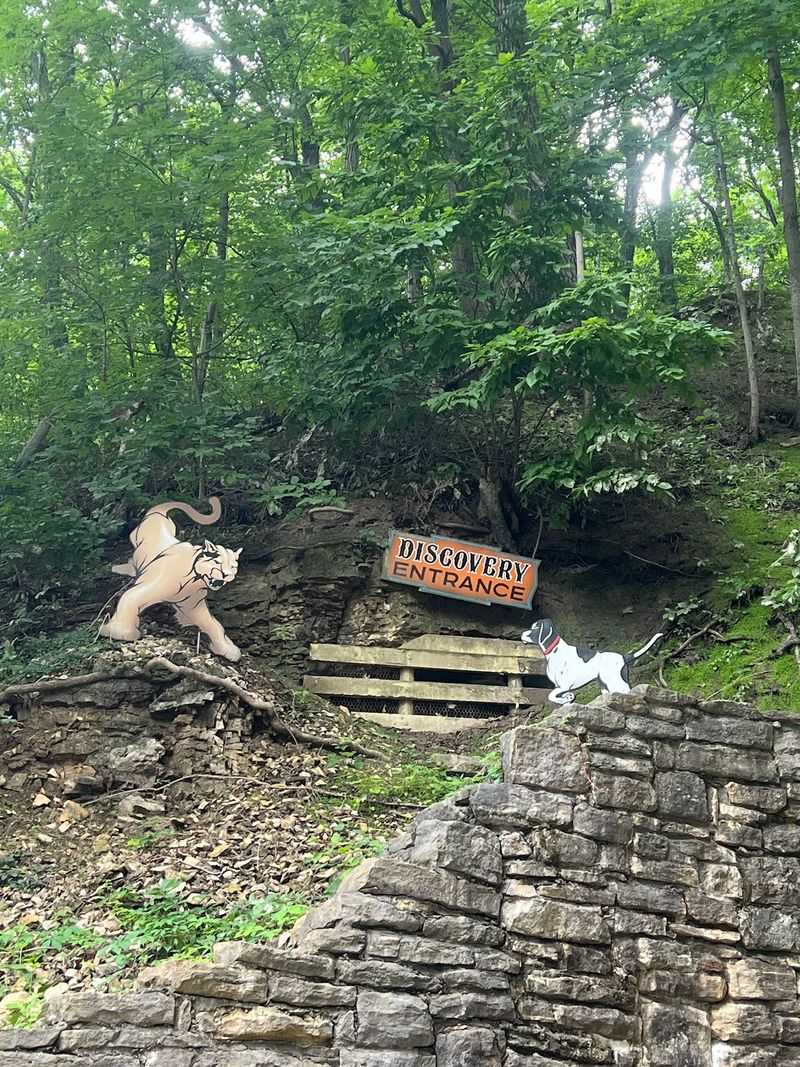 Missouri's Oldest Show Cave Still Running Tours Missouri's Oldest Show Cave Still Running Tours