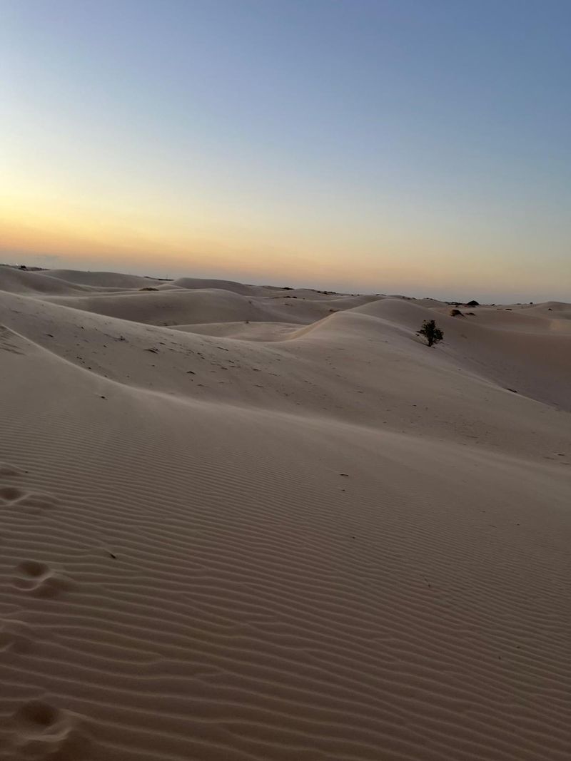 Monahans Sandhills State Park
