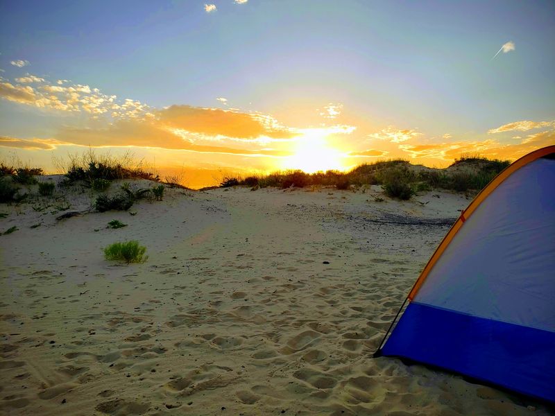 Monahans Sandhills State Park