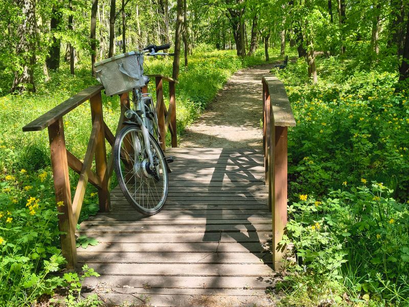 Monon Trail Monon Trail