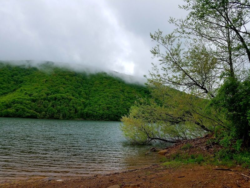 Monroe Run Trail: The Classic Walk Down to the Water