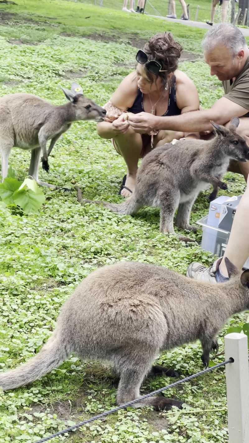 More Than Just a Day Trip