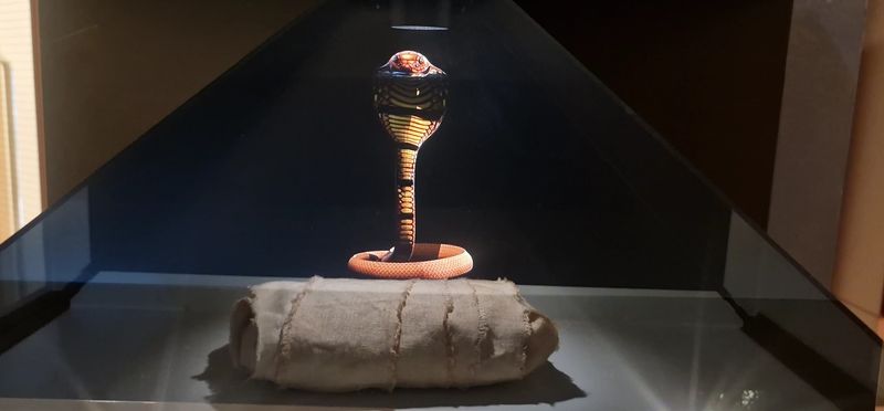 Mummified Animals Are Part Of The Deal Too Mummified Animals Are Part Of The Deal Too