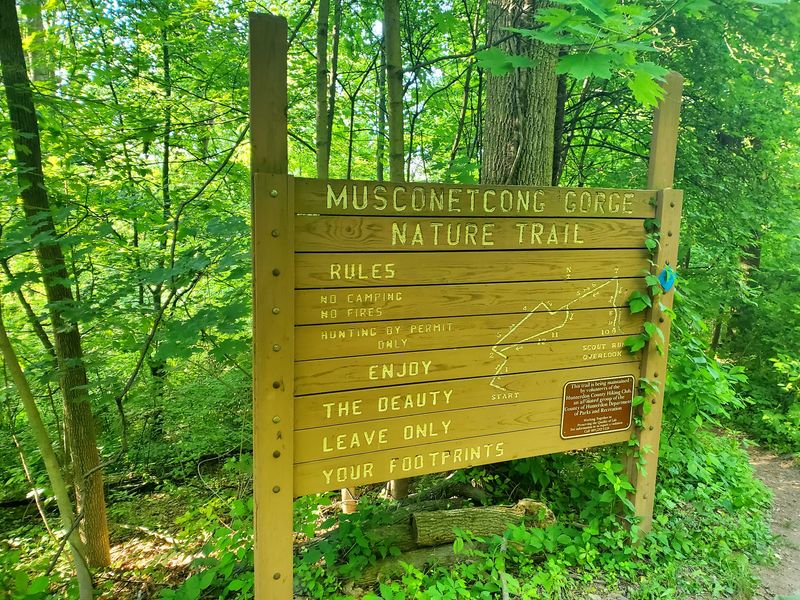 Musconetcong Gorge Preserve, Bloomsbury Musconetcong Gorge Preserve, Bloomsbury