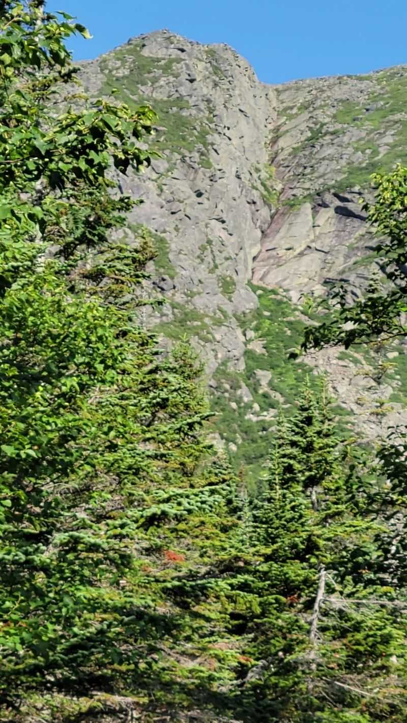 My First Look Up At The Ravine Wall