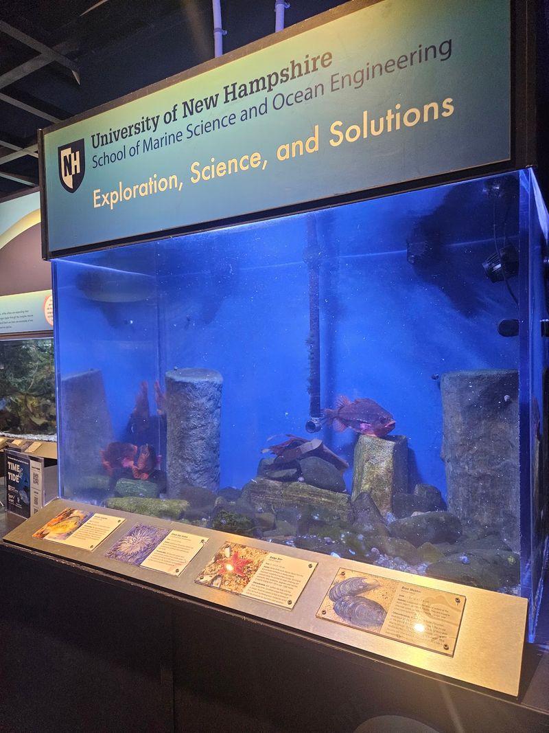 NH Beaches Exhibit Makes You Rethink Sand