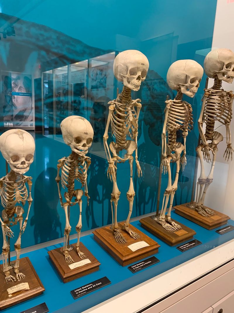 National Museum of Health and Medicine