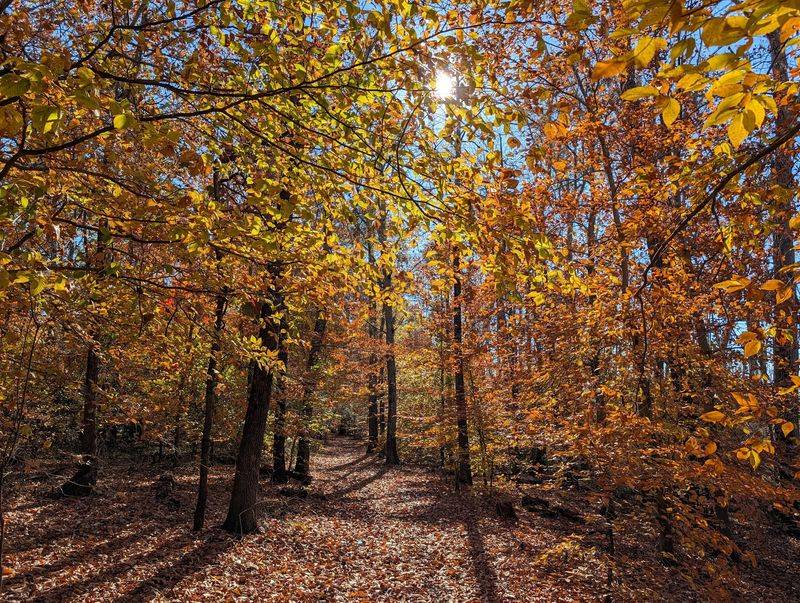 Nearly 11 Miles of Trails in the Sanctuary Proper