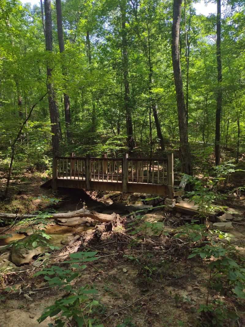 Nearly 12 Miles of Trails With Something New Around Every Bend