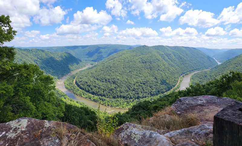 Nearly 40 Reptile Species Call The Gorge Home