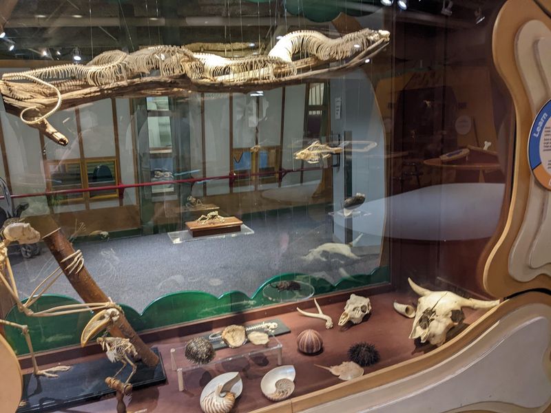 Nearly a Thousand Mississippian Pottery Vessels