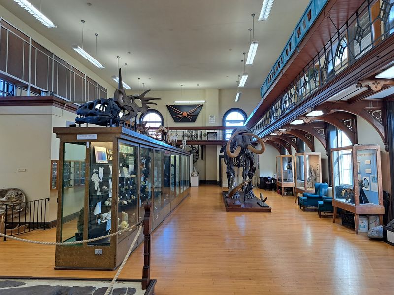 New Jersey Natural History Since 1872
