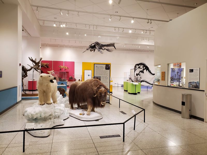 New Jersey State Museum