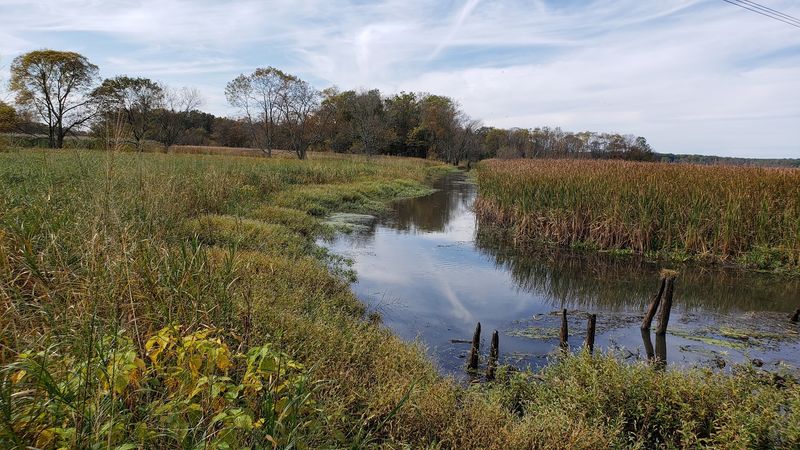 New Jersey's Largest Freshwater Marsh New Jersey's Largest Freshwater Marsh