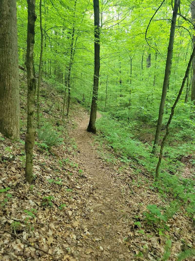Nine Miles Of Singletrack For Riders Who Like Hills