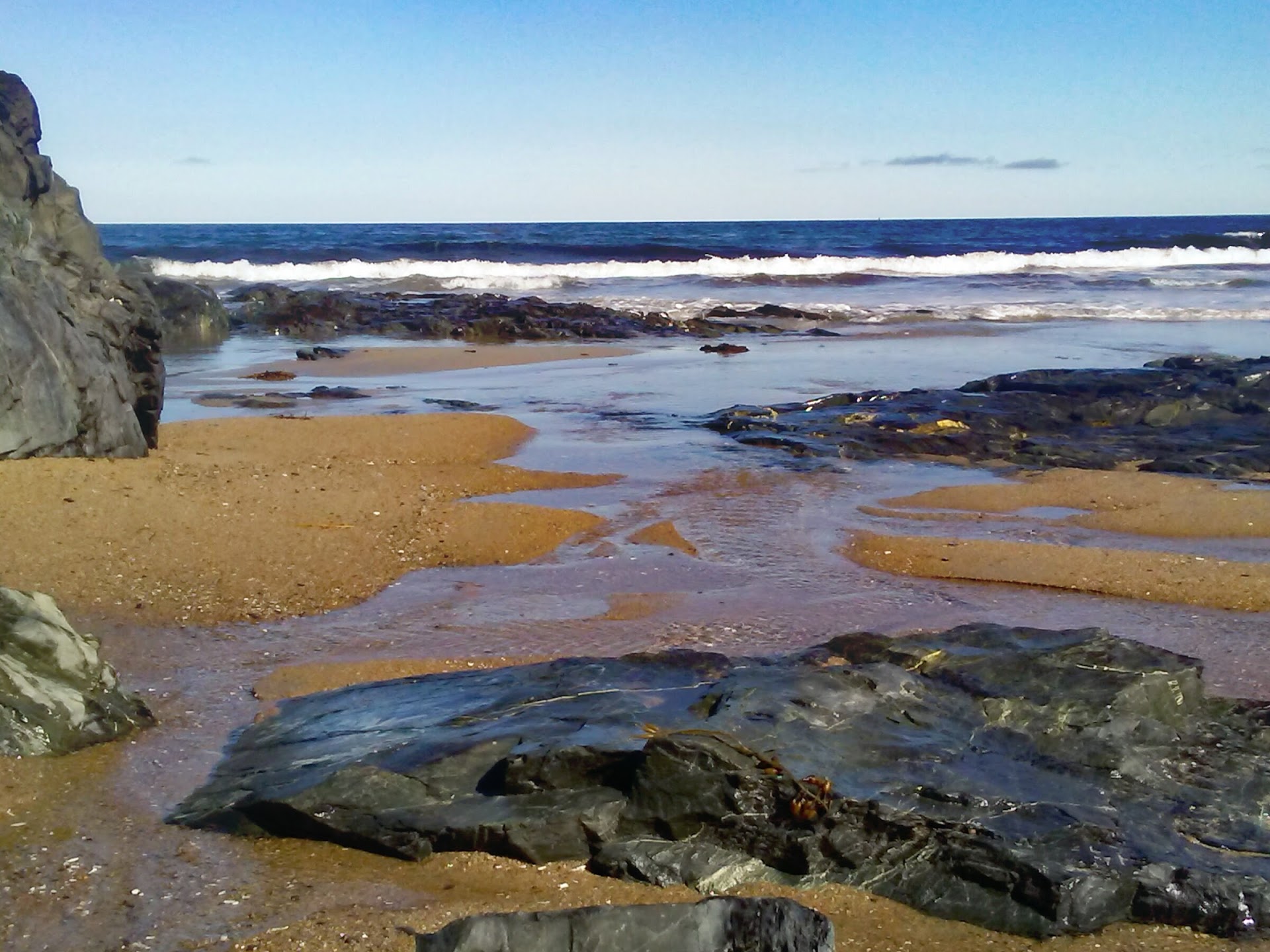 Ocean Wonders, Tidal Pools, and the Perfect Coastal Send-Off Ocean Wonders, Tidal Pools, and the Perfect Coastal Send-Off
