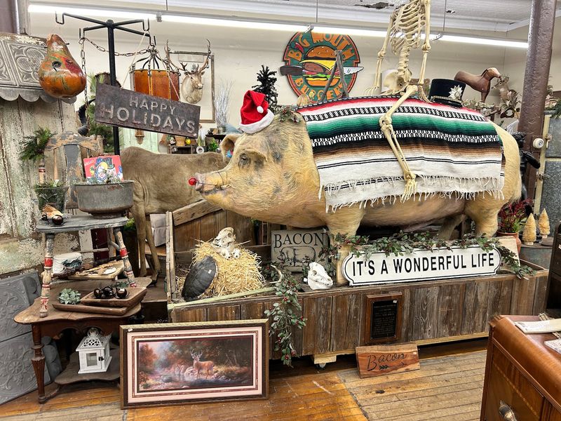 Oddities, Mannequins And Things Nobody Expected To Want