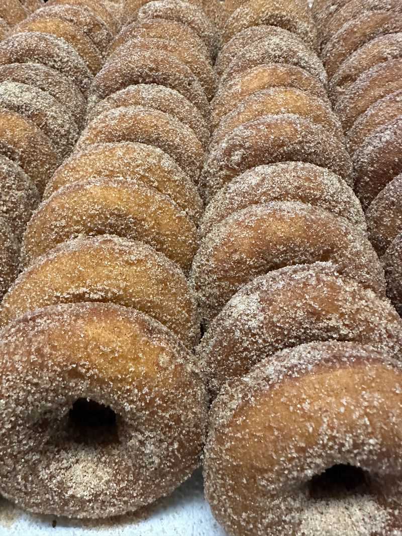 Old School Cake Donuts Are The Whole Point