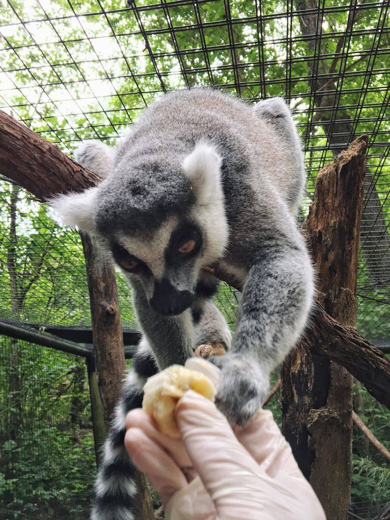 One of America's Largest Zoos