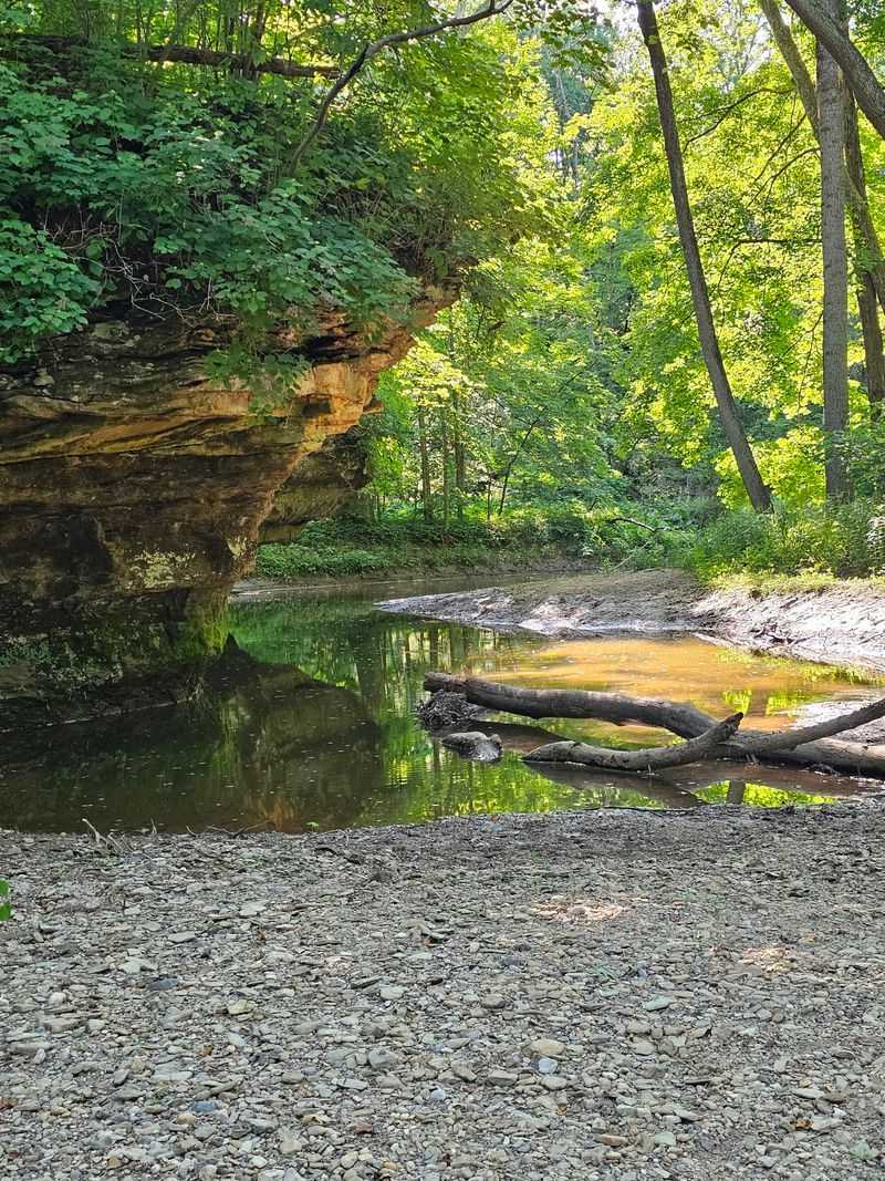 One of Richmond's Best Kept Secrets, Now Slightly Less Secret One of Richmond's Best Kept Secrets, Now Slightly Less Secret